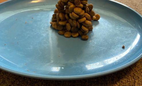 Emerald Glen Getaway Morris