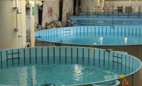 Red Ewald Karnes City