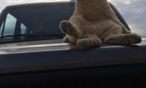 Jas International LLC