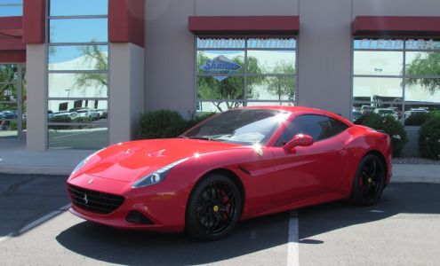 Shane's Tint & Clear Bra