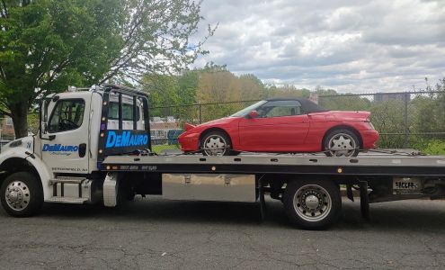DeMauro Towing