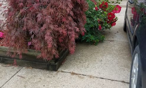 Ellis Richards Motors