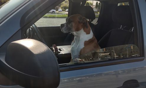 Penn Warranty Corporation