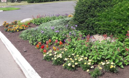 Main Street Service Easthampton