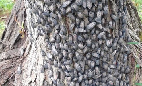 E L Carpenter Repair