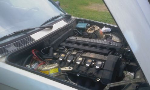 Brian Taylor Imports, Auto Repair Millington