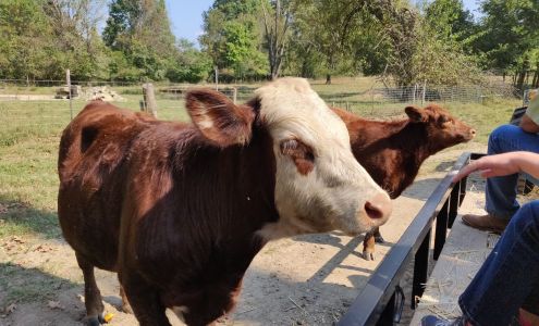 Pendleton Expediting Inc