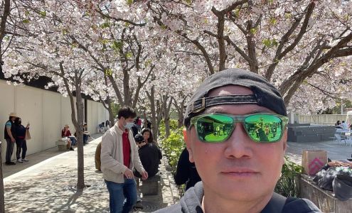 Mon Cargo Services Inc