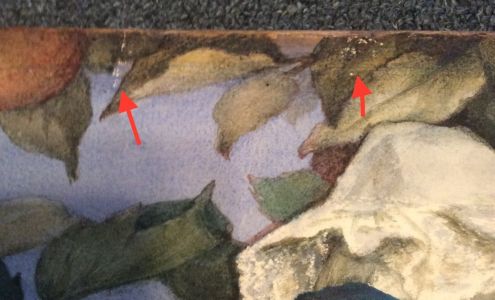 BOX & SHIP Shipping Service