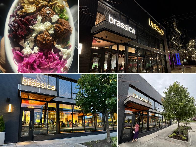 Brassica in Shaker Heights