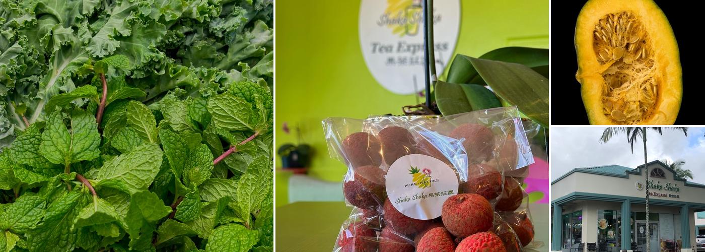 Shaka Shaka Tea Express