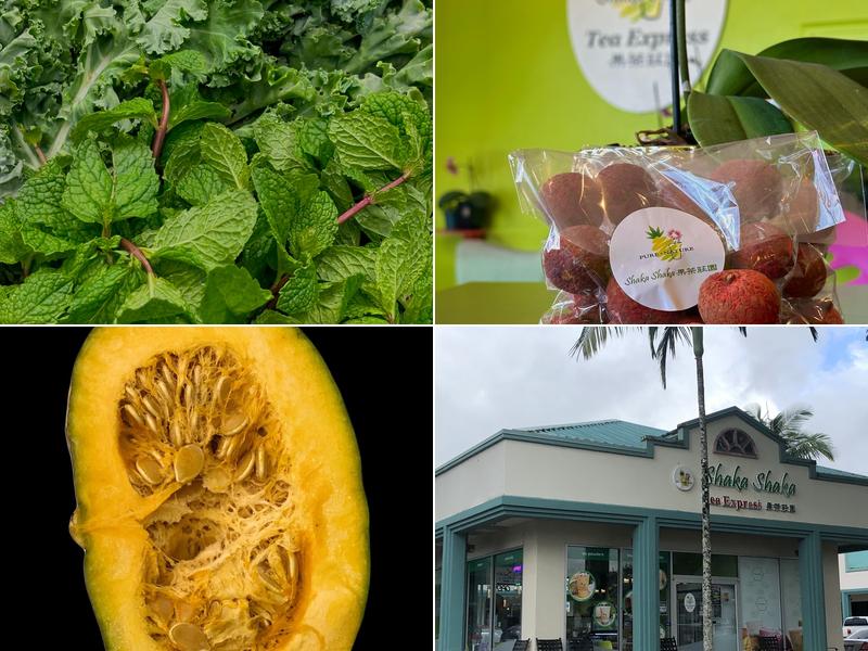 Shaka Shaka Tea Express