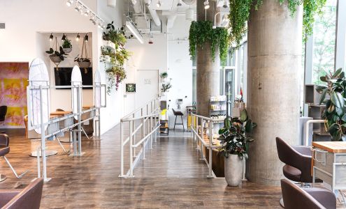 Love And Mercy Salon