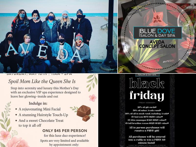 Blue Dove Aveda Salon & Day Spa