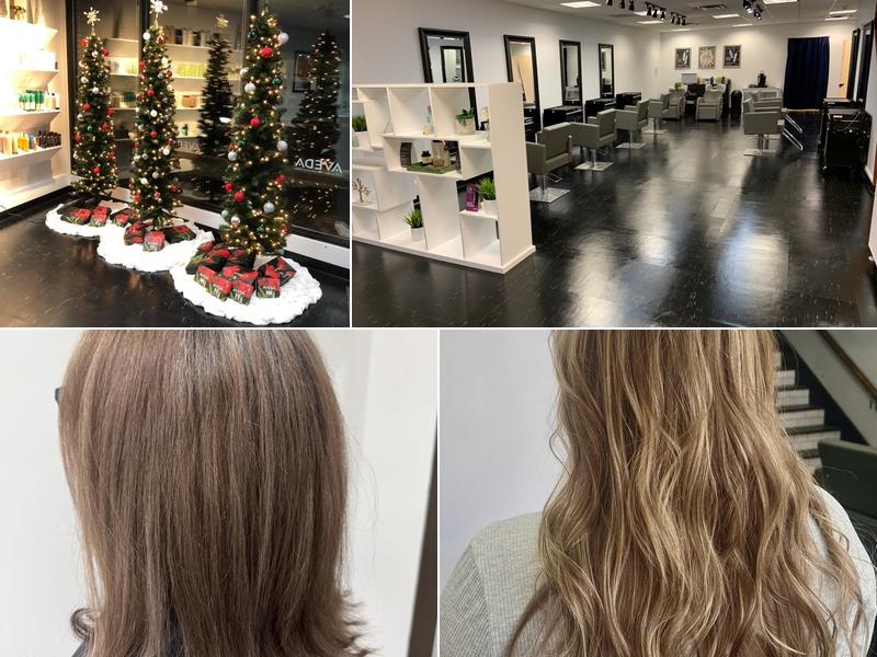 The Noble Root Salon