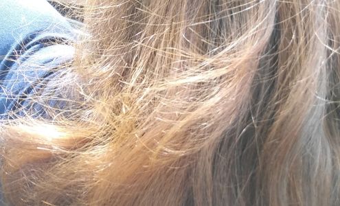 New Hair Professionals