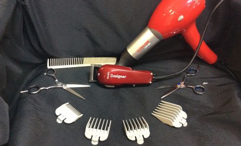 Just 4 Him Haircuts of Central | #1 Men's Hair Salon & Barber Shop