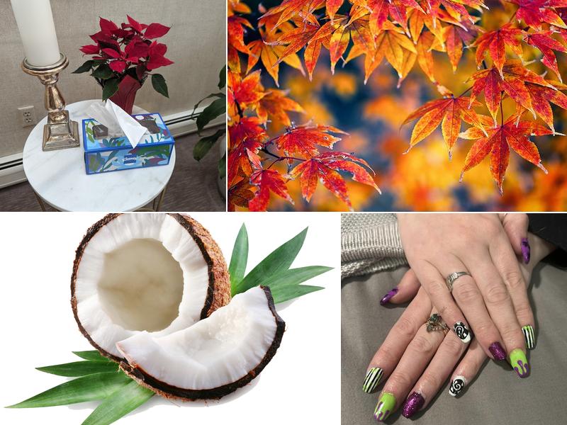 Pure Indulgence Day Spa