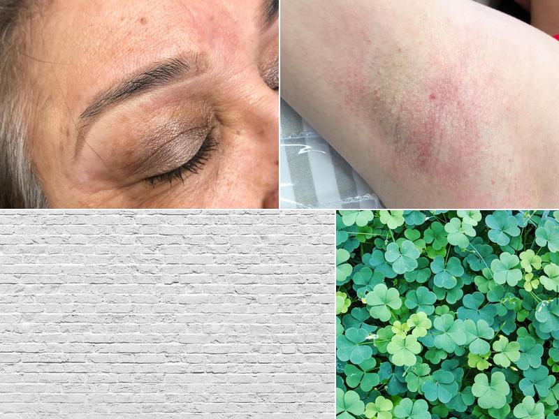 The Opal Office Salon