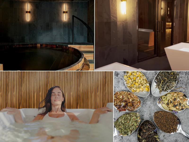 The Dragontree Sanctuary