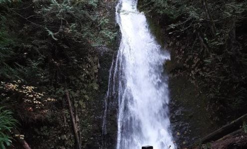 Carols About Face 2230 E Speedway Blvd, Tucson Arizona 85719