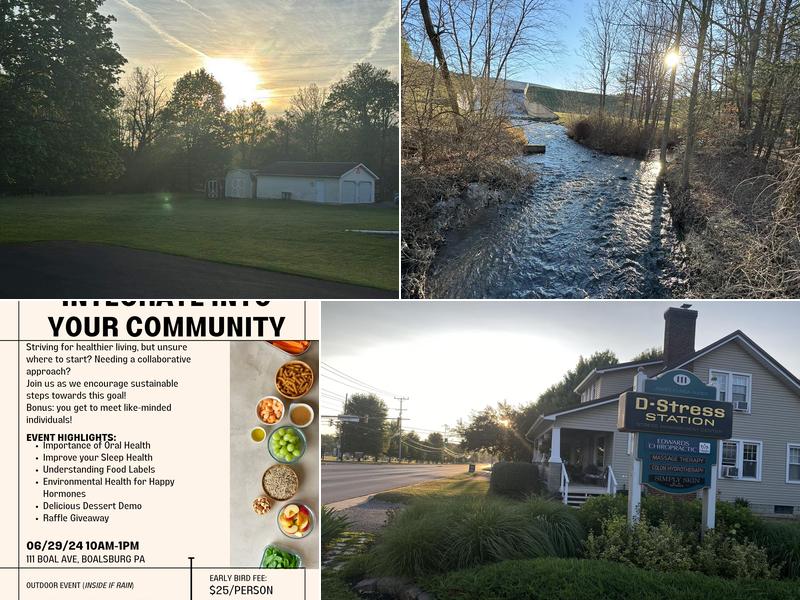 The D-Stress Station Stress Management Center