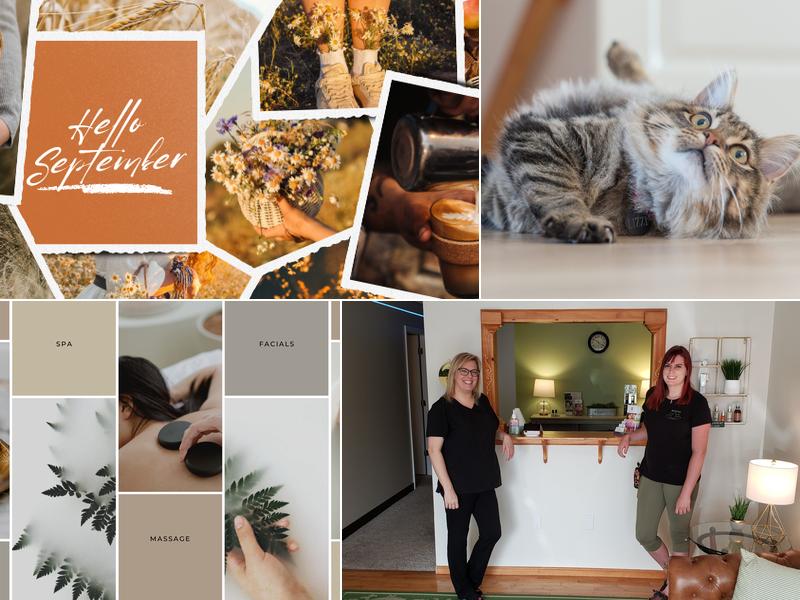 Power of Touch Massage & Bodywork