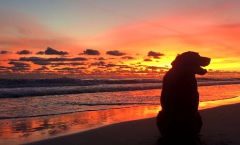 Emerald Coast Chiropractic - Destin