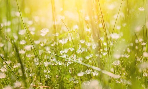 Rebecca Freeman, AP 1 11th Ave Suite 1A, Shalimar Florida 32579