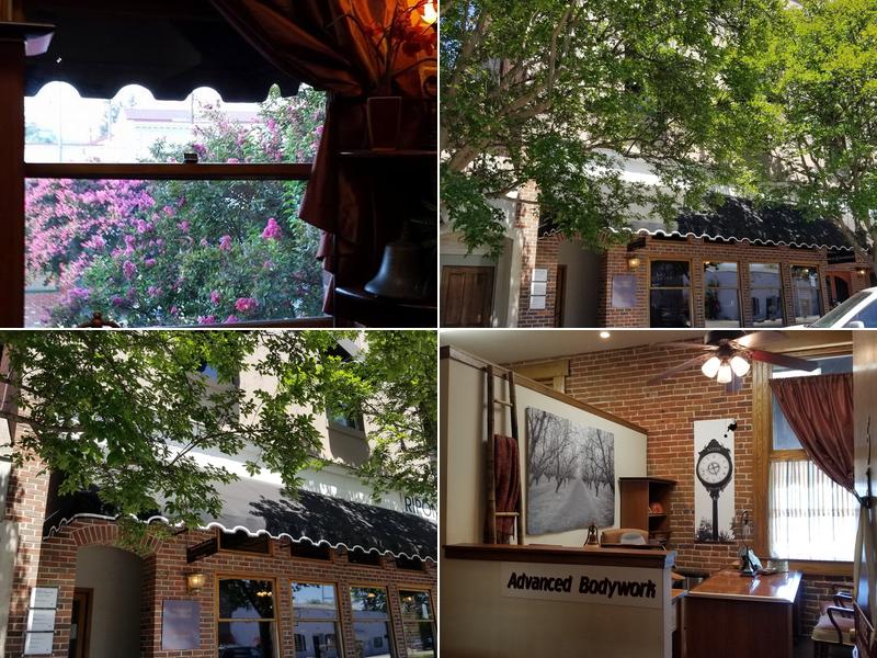 Advanced Bodywork Massage and Applied Kinesiology