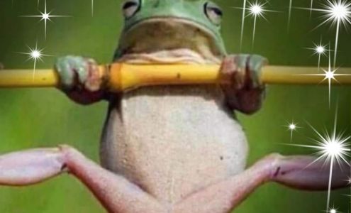 Skin Diversity Esthetics & Waxing