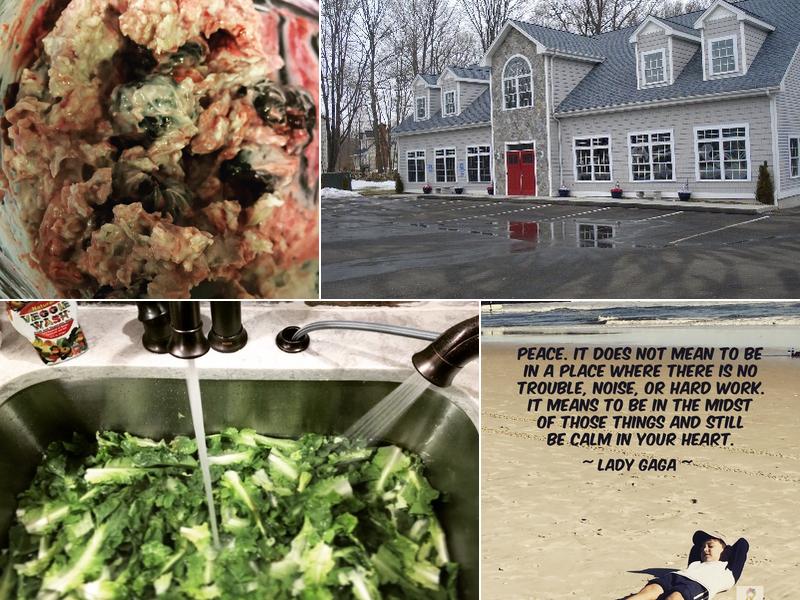 Intrinsic Health Source