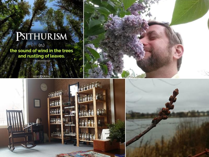 Austin Acupuncture Clinic