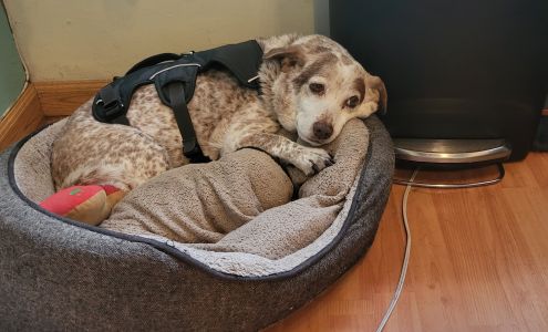 Crissy's Colors & Cuts