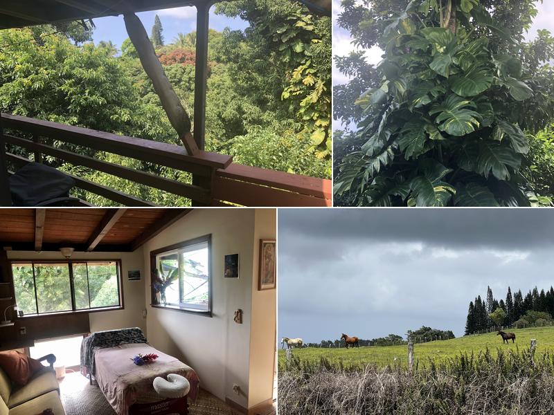 Mountaintouch Bodywork