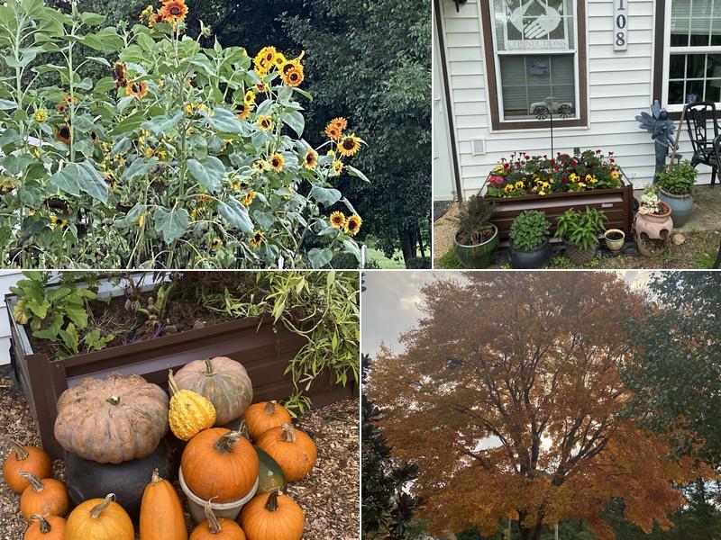 Bodywork Connections