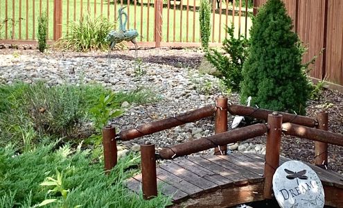 Roman's Acupuncture & Wellness