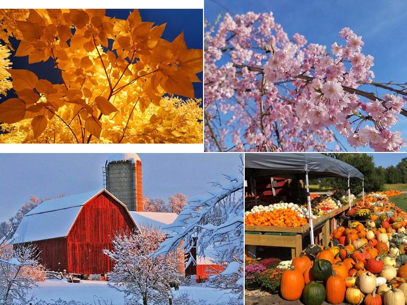 Walla Walla Therapeutic Massage