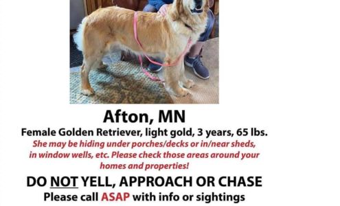 Afton Chiropractic Clinic