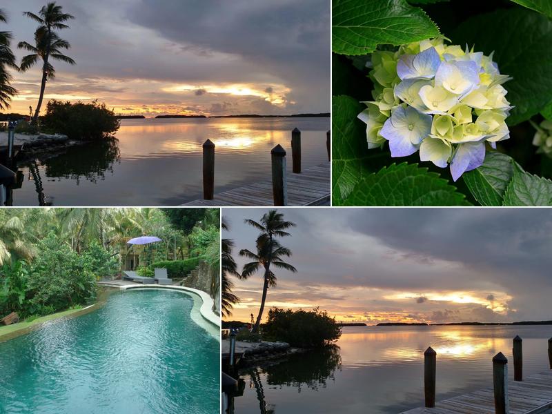 Restorative Healing Touch