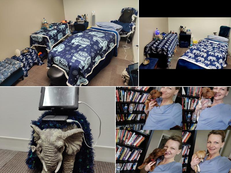 Indigo Body Massage & Orthopedics