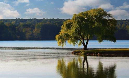 Knoxville Oral and Maxillofacial Surgery