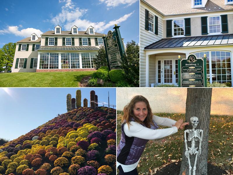 Family Chiropractic of Lederach