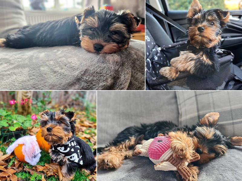 Namaste Wellness Spa