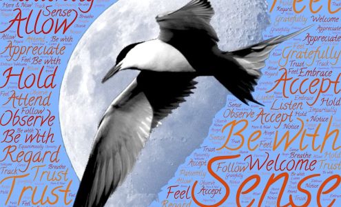 Patricia Bernard Massage