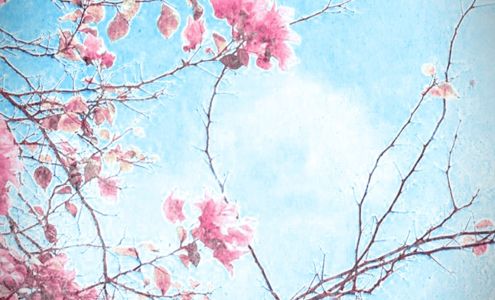 Radiant You, Massage & Coaching