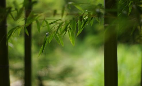 Mountain High Massage 7597 Hwy 89 x, 7597 CA-89 #4, Graeagle California 96103