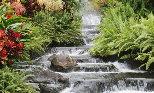 Advanced Massage Healthcare