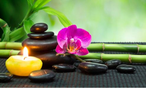 Chidragon Acupuncture - Pamela Jankelow