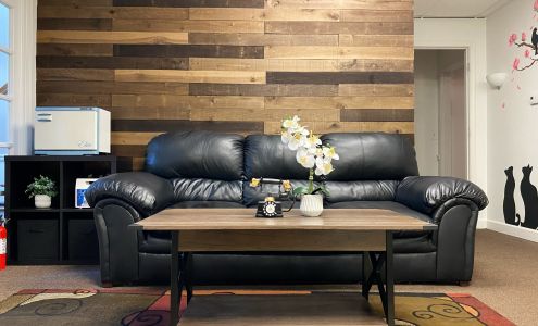 317 Holistic Health LLC